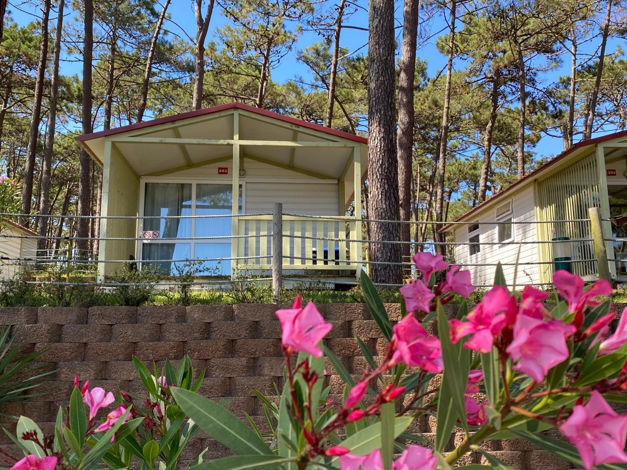 Parque de Campismo Orbitur Valado Nazaré Exterior foto